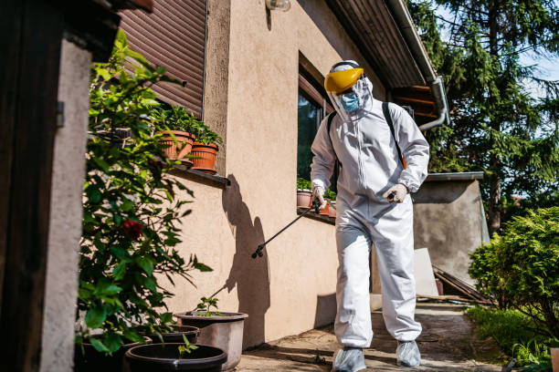 Professional Pest Control in Dixon, IL