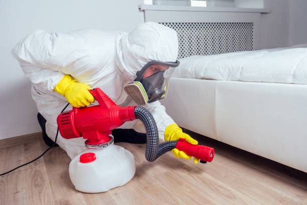 Best Mosquito Control Services  in Dixon, IL