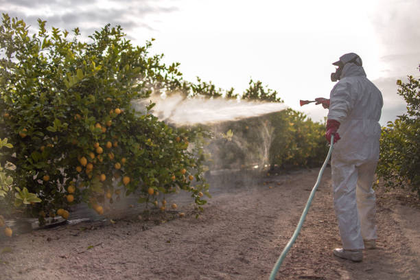 Best Pest Control Near Me  in Dixon, IL