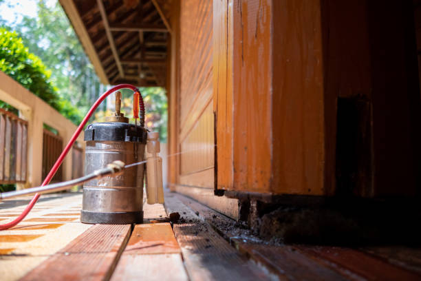 Best Pest Prevention Services  in Dixon, IL